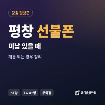 평창군선불폰 미납요금 있을 때 안내 이미지
