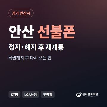 안산시정지폰 선불폰 개통 안내 이미지