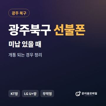 광주북구선불폰 미납요금 있을 때 안내 이미지