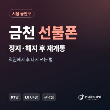 금천구정지폰 선불폰 개통 안내 이미지
