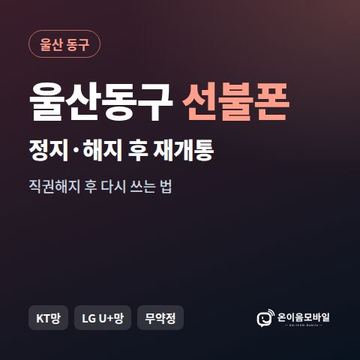 울산동구정지폰 선불폰 개통 안내 이미지