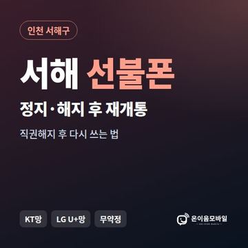 서해구정지폰 선불폰 개통 안내 이미지