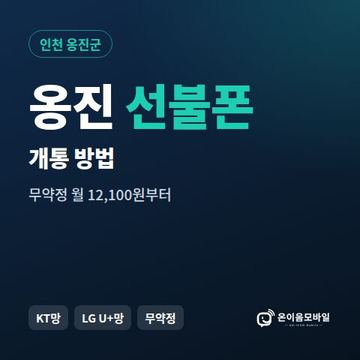 옹진군선불폰 개통 방법 안내 이미지