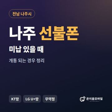나주시선불폰 미납요금 있을 때 안내 이미지