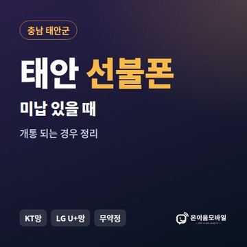 태안군선불폰 미납요금 있을 때 안내 이미지