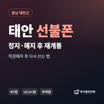 태안군정지폰 선불폰 개통 안내 이미지