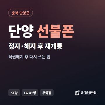 단양군정지폰 선불폰 개통 안내 이미지